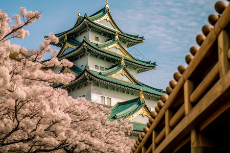 日本建筑传统的名古屋建筑背景