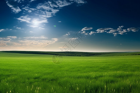 广袤无垠的草原图片