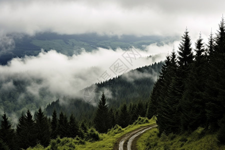 喀尔巴阡山脉的壮观景象图片