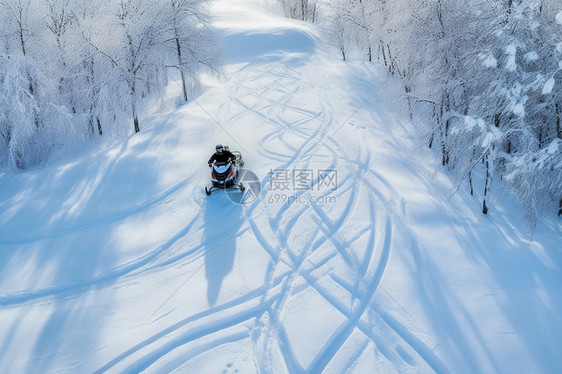 森林中正在骑行的雪地摩托图片
