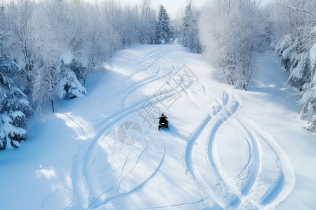 森林雪地上的雪地摩托图片