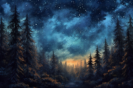 夜空下的神秘森林图片