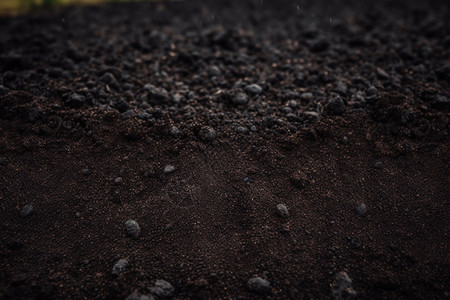 黑色的土壤图片