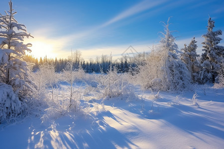 空旷的雪地图片