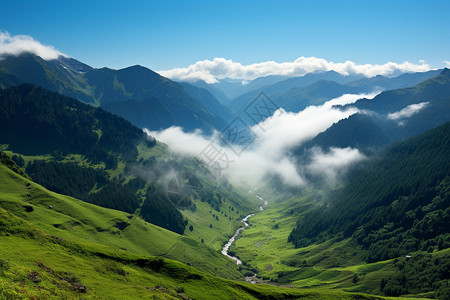 海上雾气蒙蒙雾气蒙蒙的山谷背景