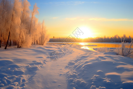 日出森林的雪景图片