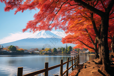 冬至风景秋天户外的风景背景