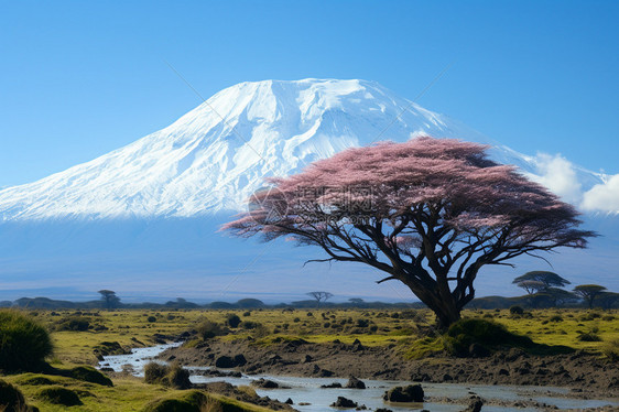 火山下的草原图片