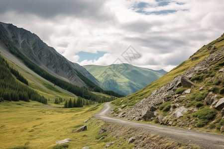 自然荒野道路图片