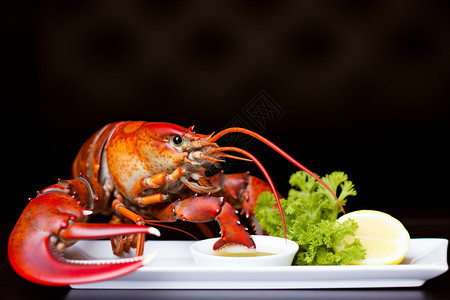 营养丰富的美味龙虾背景图片