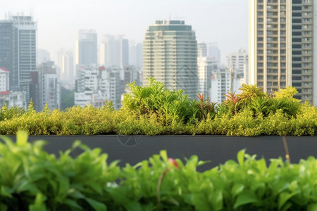 城市园林绿化屋顶的园林绿化背景