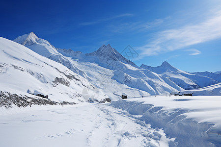 雪白的冰山图片