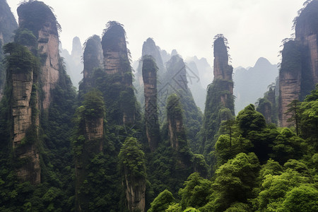 雄伟的山脉图片