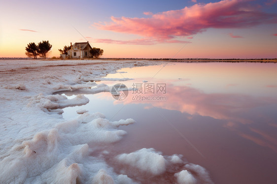 著名的粉色盐湖图片