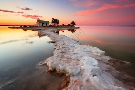 大自然的粉色盐湖图片