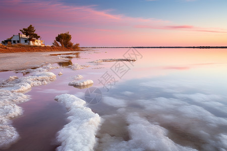 粉色盐湖图片