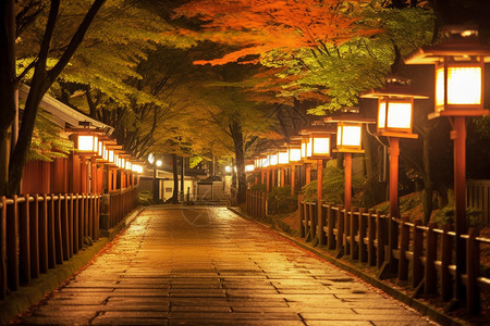 夜晚城市街道背景图片