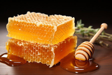 新鲜又营养的蜂蜜图片