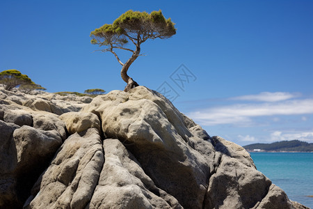 夏季度假海滩的美丽景观图片