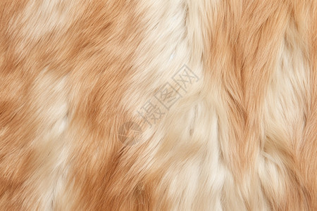 棕色的羊毛地毯图片