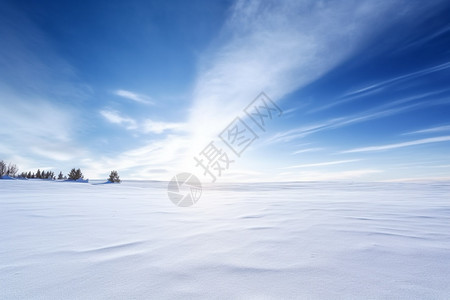 冬天雪地的美丽风景图片