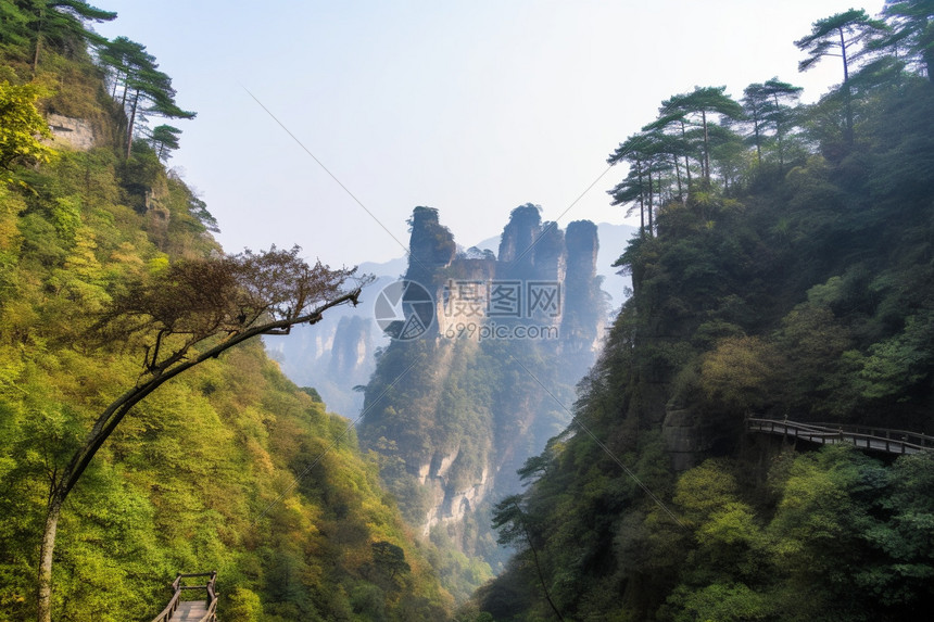 茂盛的山峰图片