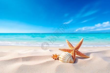 沙滩贝壳惬意的沙滩背景