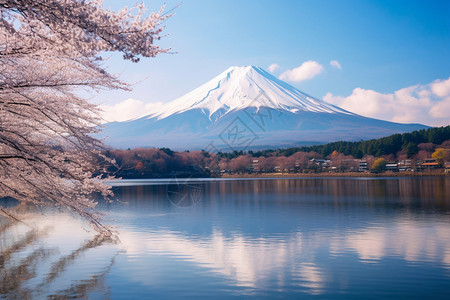 美丽的富士山图片