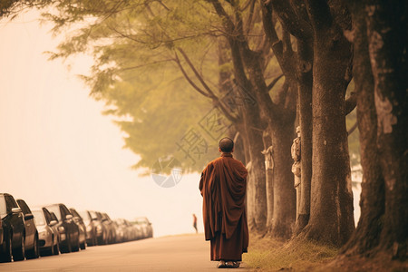 大树成长路边的僧人背景