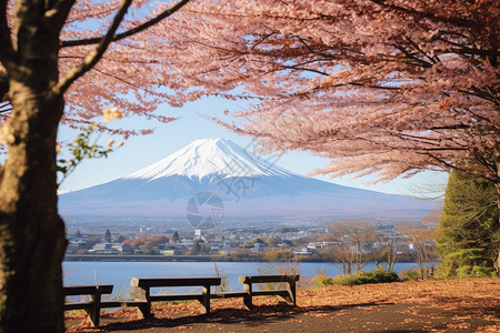 富士山和日本城美丽的富士山景观背景