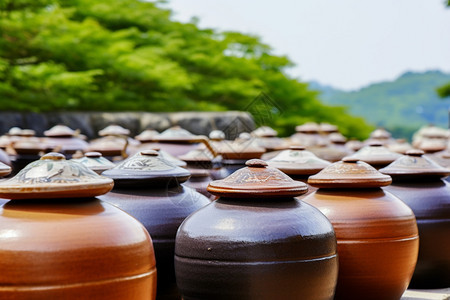 传统的陶瓷瓦罐图片