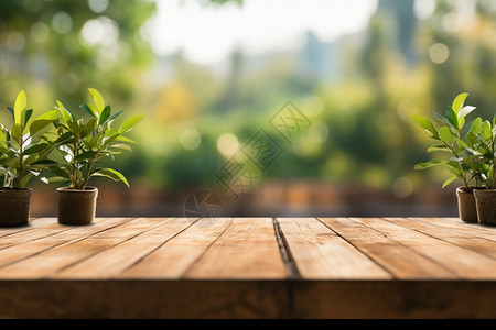 木板上的绿色植物图片