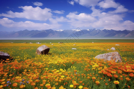 新疆自然美景背景图片