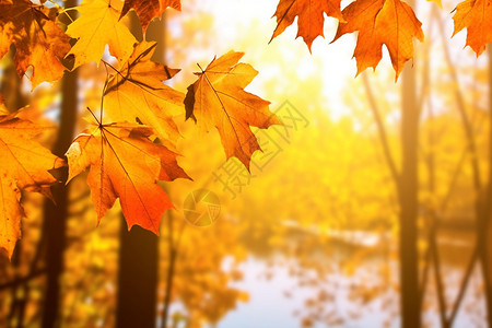秋季的风景图片