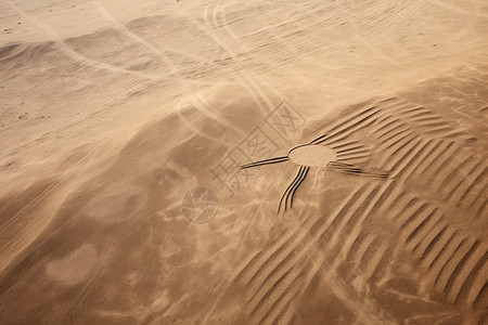 空旷的沙漠景观背景图片