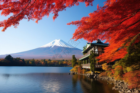 美丽的富士山风景图片