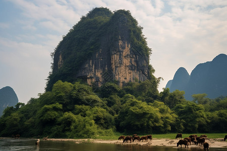 夏季丘陵地区的美丽景观图片