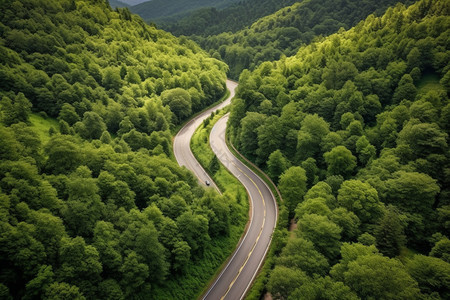 乡村公路图片