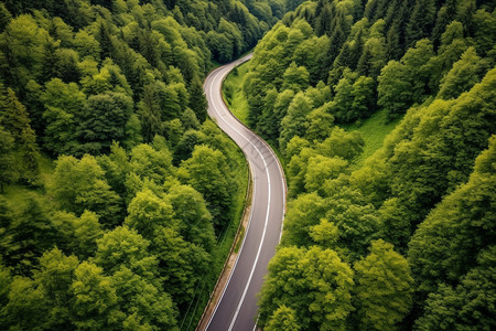 森林公路山谷间的公路背景