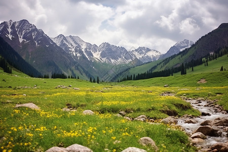 峡谷中的草地图片