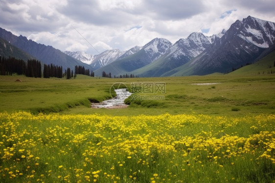 雪山草地河流图片