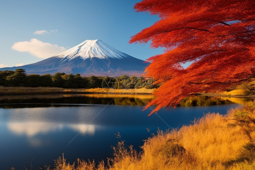 日本富士山的美丽景观图片