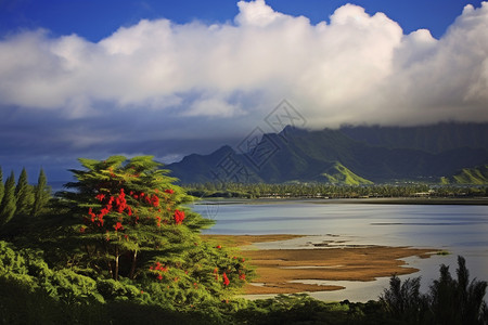 度假岛屿的美丽景观图片