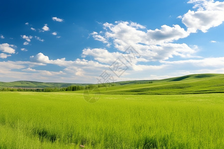 油画乡村油画般的乡村田野背景