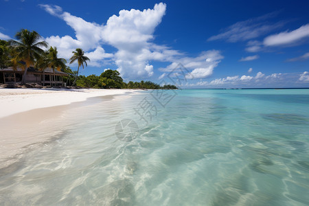 巴厘岛旅游蓝天下的巴厘岛一角背景