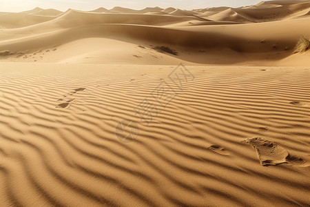 一望无际的沙漠图片