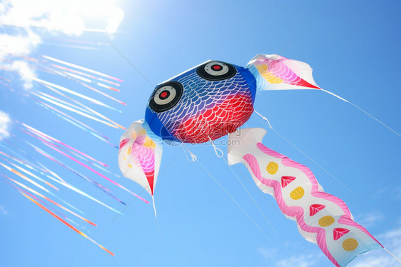 日本鲤鱼风筝图片