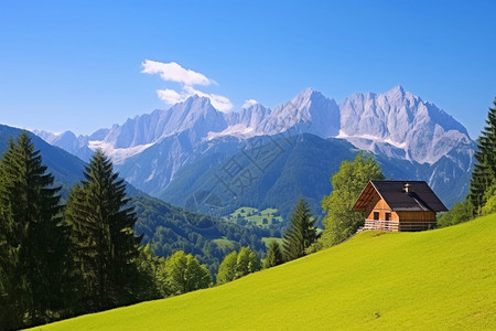 高山植物德国的小屋背景