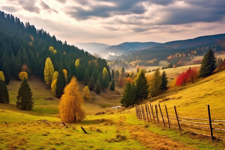 大自然的秋天图片