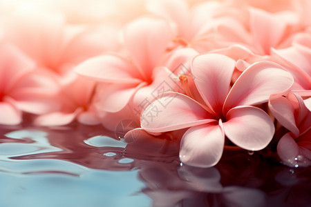 花开在水里赤素馨花高清图片